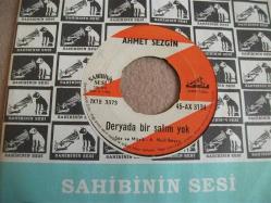 B - AHMET SEZGİN - Deryada bir salım yok - Çalı kuşu