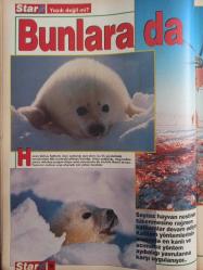 Star Dergisi- 20 Haziran 1993- Heidi Staley- Madonna- Michael Jackson- Yazık değil mi ?- Macera Peşinde- Geçmiş Zaman Olur Ki- Ergun Hiçyılmaz- Hindu Geleneği