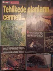 Star Dergisi- 25 Eylül 1994- Amalia Weisser- Salvador Dali- Ferdinand Markos- Adile Tuğrul- Mualla Bayülken- Münevver Erdoğdu- Nermin Şen- Tehlikede Olanların Cenneti