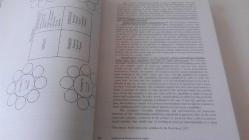 MULTINATIONAL MARKETING MANAGEMENT
