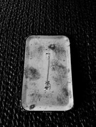 BEAUTY AND THE BEAST DİKDÖRTGEN FORMATINDA NADİR ROZET.