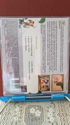 Disney Animation Classics Vol.1: Mickey And Beanstalk - Disney Çizgi Film : Mickey ve Fasulye Sirigi