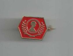 KIRMIZI RENKTE FARKLI BİR ASKER ROZETİ...