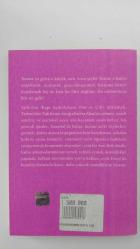 Korkma bu akşam gelip çalmam kapını