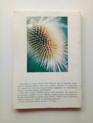 YEŞİL DOLAP (FİTOTERAPİ VE BİTKİLER) (2. EL)