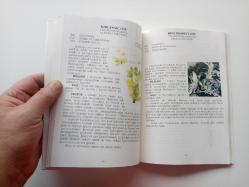 YEŞİL DOLAP (FİTOTERAPİ VE BİTKİLER) (2. EL)