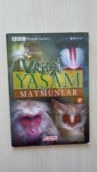 Vahşi Yaşam Maymunlar