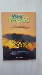 Vahşi Yaşam Maymunlar