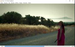 iki çizgi dvd  (pc'de denenmiştir)  (gülçin santırcıoğlu kaan keskin)