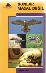 BUNLAR MASAL DEĞİL - BİLGİTEK SAHAF