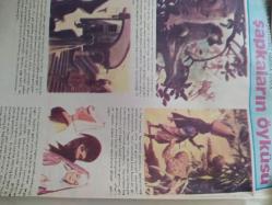 Milliyet Çocuk Dergisi - Sayı:36 - İsmet Müstecaplıoğlu - Şapkaların Öyküsü - Tenten Maceraları - Haylaz Tay - İlkokullar arası bilgi yarışması -