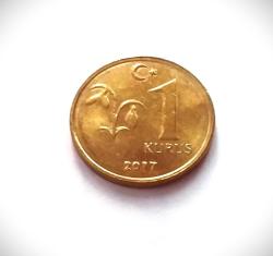 1 KURUŞ 2017 T.C.