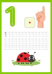 Okul Öncesi Çizgi-Sayı Çalışması YAZ-SİL Kitabı