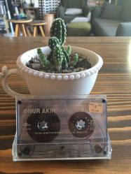 Onur Akın - Asi ve Mavi