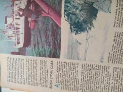 Milliyet Çocuk Dergisi - 31 Ağustos 1981 - Sincap Nasıl Yaşar - Büyük Kara Kurbağası - Güvercin Çeşitleri - Çantada Taşınan Maymun - Suni Odun -