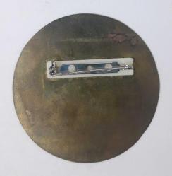 Türkiye Uluslararası Yüzme Federasyonu Büyük Boy Eski Tip Arma