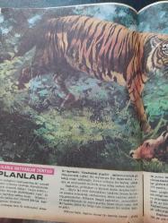 Seksek Dergisi - 11 Mart 1974 - Kaplanlar - Ünlüler Albümü: Neşe Karaböcek - Sisli Bir Gündü - Dehşet Adası Esirleri  - Sivri Kulaklı Cef -