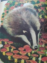 Seksek Dergisi - 29 Ekim 1973 - Porsuklar - Hafızasını Kaybeden Kız - Mutluluk Oyunu - Cinayeti Gördüm - İntikam Yarışı - Gamzeli Ayşe -