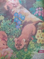 Seksek Dergisi - 22 Ekim 1973 - Samurlar -  Hafızasını Kaybeden Kız - Mutluluk Oyunu - Cinayeti Gördüm -