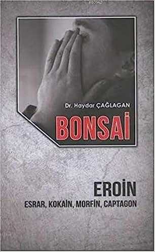bonsai porto Ginseng-Bonsai im Topf 