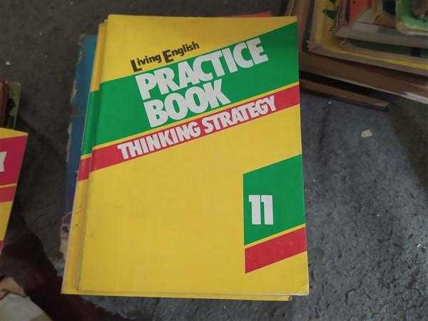 LIVING ENGLISH PRACTICE BOOK THINKING STRATEGY 11