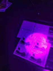 TC Yeni bir erör & varyete 2015  Muzelerimiz tam seri 4lü mnh