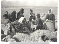Efemera - Davar sürüsü arasında, muhtemelen Doğu Anadolu'dan kadın ve çocuklar. Orijinal. Enstantane Fotoğraf. 1930/40 - kitantik - kitaLog