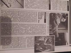 Nokta Dergisi - 31 Ocak 1988 - Mahir Çayan ve arkadaşlarının ''Büyük Firar''ı - Dışişlerinde gençleştirme harekâtı - İşkence tedavisinde yeni yöntemler - Kayıp uçağın sırrı - Eroin Milyarderi - Babalık davaları sorunu - TÜSİAD'ın dış borç raporu - Tarihi film çekmenin zorlukları - Sovyet tiyatrocuları - Ginger ve Fred sinemalarda - Kedileri anlamak -