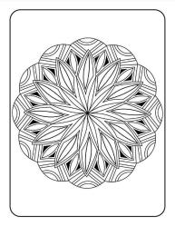 Çocuklar İçin Mandala Kitap Seti-200 Seçilmiş Mandala
