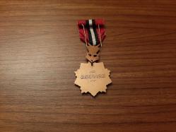 6 EKİM SURİYE - İSRAİL ASKERİ SAVAŞ MADALYASI B9452