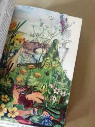 THE CHILDREN'S ILLUSTRATED ENCYCLOPAEDIA OF GENERAL KNOWLEDGE - A Reference Book and School Companion for Boys and Girls
