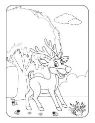 Sevimli Hayvanlar Boyama Kitabı