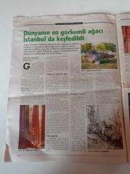 Cumhuriyet Bilim Teknik Gazetesi - 30 Ağustos 2003 - Sayı 858 - Annelik Dünden Bugüne Nasıl Değişti -Güneşlenmemek Kanser Nedeni - Obezlik Alzheimer Riskini Artırabilir - Uyku Saatini Belirleyen Gen - Dünyanın En Görkemli Ağacı İstanbul'da Keşfedildi