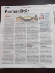 Cumhuriyet Akademi Gazetesi - 28 Ekim 2017 - Sayı 19- İstanbul Sözleşmesi Siyasi İktidarın Çelişkisi - Permakültür- Sarmalayan Kucak Ayıplayan Göz Komşu - Türkiye Üniversitelerinde Toplumsal Cinsiyet