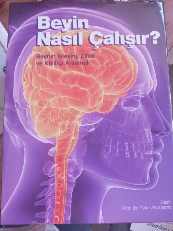 BEYİN NASIL ÇALIŞIR - BEYNİN İŞLEVİNİ DÜŞÜNCEYİ VE KİŞİLİĞİNİ ANLAMAK