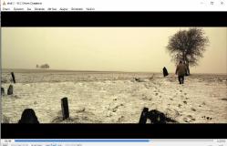 gergedan mevsimi dvd  (PC'de denenmiştir)  (monica belluci beren saat belçim bilgin behrouz vossoughi yılmaz erdoğan) (bahman ghobadi)