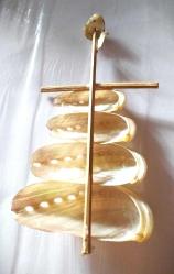 DENİZ KABUĞUNDAN (SEDEF) YELKEN TASARIM 2 AD