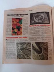 Cumhuriyet Bilim Teknik Gazetesi - 20 Kasım 1993 - Sayı 347 -  Büyük Patlamaya Yeni Kanıt -Yıldırımlı Günler Başladı - Bedeni Ve Zihni Yenileme - Silahlar Eritme Potasında - Gençlere Üniversite Kapılarını Açmak