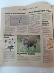 Cumhuriyet Bilim Teknik Gazetesi - 20 Kasım 1993 - Sayı 347 -  Büyük Patlamaya Yeni Kanıt -Yıldırımlı Günler Başladı - Bedeni Ve Zihni Yenileme - Silahlar Eritme Potasında - Gençlere Üniversite Kapılarını Açmak