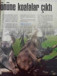 Tempo Dergisi - 29 Haziran 2006 - Ülkücülerin Kosta Rika'yı İşgal planı - Kafelerde Go fırtınası - Aşk ve sigara - Kumsalda ilk smaç - Hollywood'un en seksi vücudu - Jandarma istihbarat TSK'yi siyasete bulaştırdı - Polisten engellilere üçlük - Nazi özentisi grubun tehlikeli 'ırkçılık' oyunu -