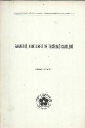 BABAESKİ KIRKLARELİ VE TEKİRDAĞ CAMİLERİ