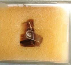 TOSHIBA N58 PİKAP-PLAK ÇALAR İĞNESİ