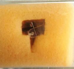 TOSHIBA N58 PİKAP-PLAK ÇALAR İĞNESİ