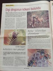 Cumhuriyet Bilim Teknik Gazetesi - 12 Şubat 2005 - Sayı 934 - Görmeyen Ressam Armağan'ın Beyni Merak Konusu - Toplu Tükenişin Nedeni Yanardağ Mı - Niçin En Az 21 Duyumuz Var - Avrupa Birliği Yolunda Üniversiteler