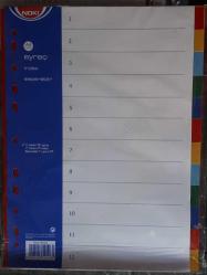 Ayraç/Seperatör 12 li  Renkli  Poşette A 4 Ebat 10 Poşet