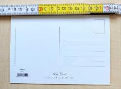 KEMAL SUNAL TOKATÇI YEŞİLÇAM FİLM KARTPOSTALI 10X15 CM