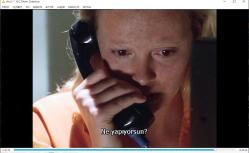 cani  dvd  (PC'de denenmiştir)  (monster) (charlize theron christina ricci)