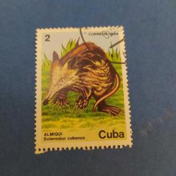 P12--15------KÜBA SOLEDON PULU