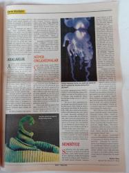 Cumhuriyet Bilim Teknik Gazetesi - 7 Mayıs 2005 - Sayı 946 - En Büyük Mucit Evrimin 10 Buluşu - Gezegen Buluşması Ve Göktaşı Yağmuru - Yerbilimlerinde Uzaktan Algılama Ve Türkiye - Hekimlerin Tanı Kusurları Ve Sorumluluk