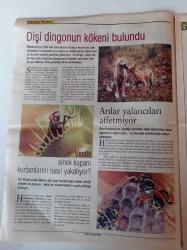 Cumhuriyet Bilim Teknik Gazetesi - 12 Şubat 2005 - Sayı 934 - Arılar Yalancıları Affetmiyor -Görmeyen Ressam Armağan'ın Beyni Merak Konusu - Toplu Tükenişin Nedeni Yanardağ Mı - Niçin En Az 21 Duyumuz Var - Avrupa Birliği Yolunda Üniversiteler